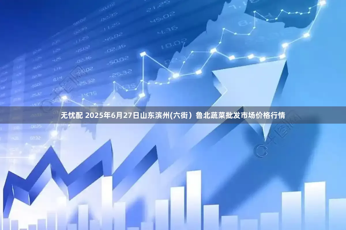 无忧配 2025年6月27日山东滨州(六街）鲁北蔬菜批发市场价格行情