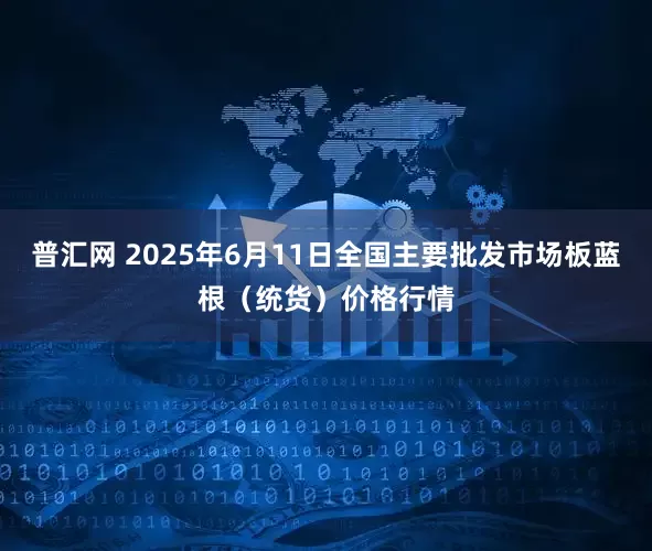 普汇网 2025年6月11日全国主要批发市场板蓝根（统货）价格行情