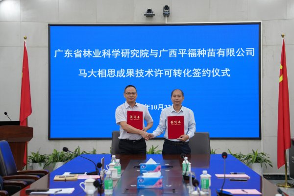 快牛盘 “良种”结硕果，广东诞生首个千万级林业科技成果转化项目