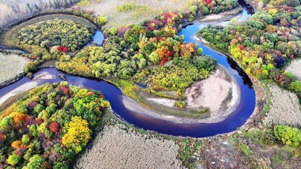 宏泰证券 绥化秋景 每一帧都是壁纸